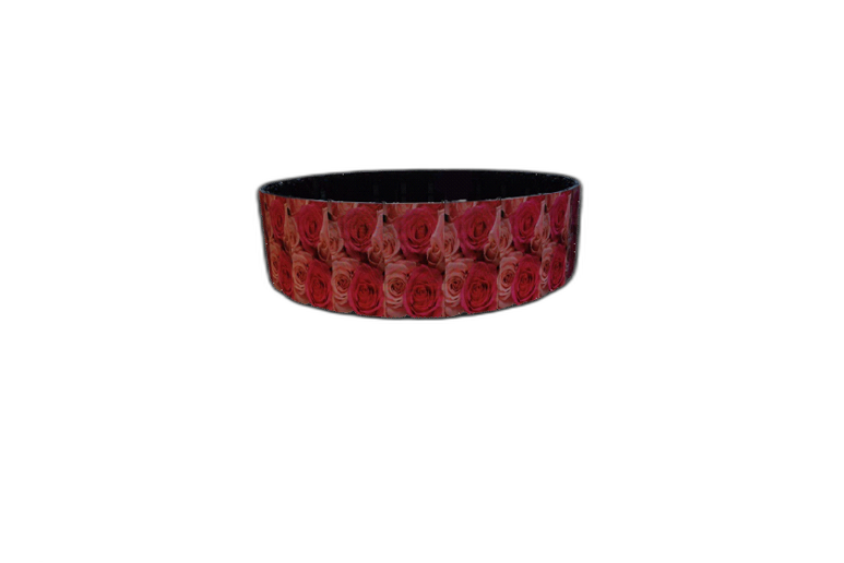 Circular 360°